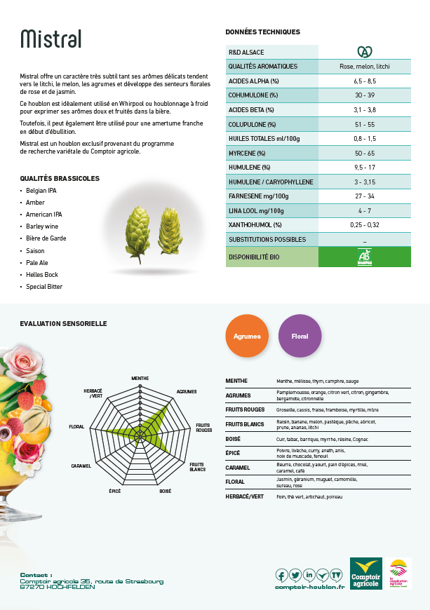 Fiche technique variété houblon mistral